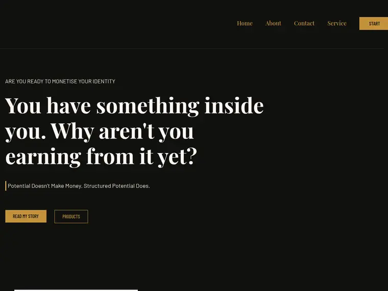 Screenshot of Ayseva website - Business & Digital Services Platform