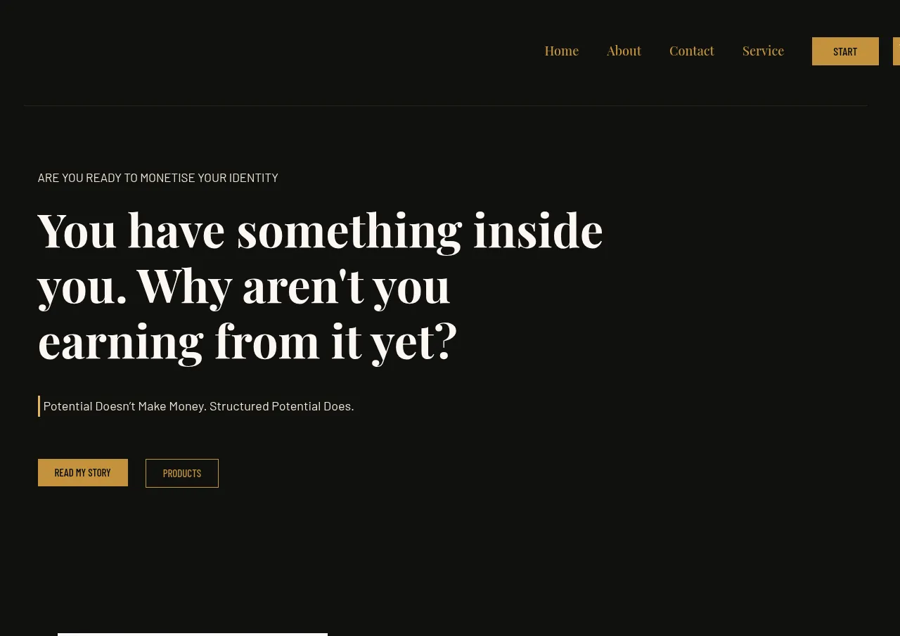 Screenshot of Ayseva website